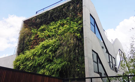 Documentário mostra montagem de jardim vertical em prédio de São Paulo