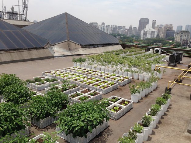 Shopping de SP inova ao criar telhado com composteira e horta