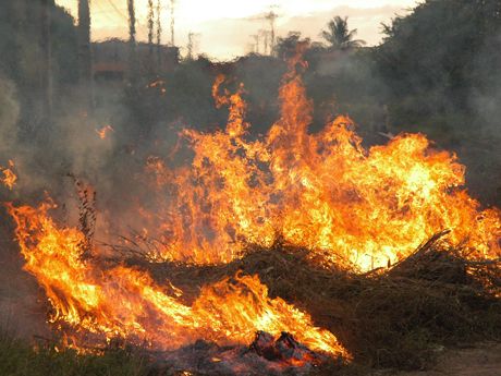 Janeiro de 2015 registra recorde de foco de queimadas