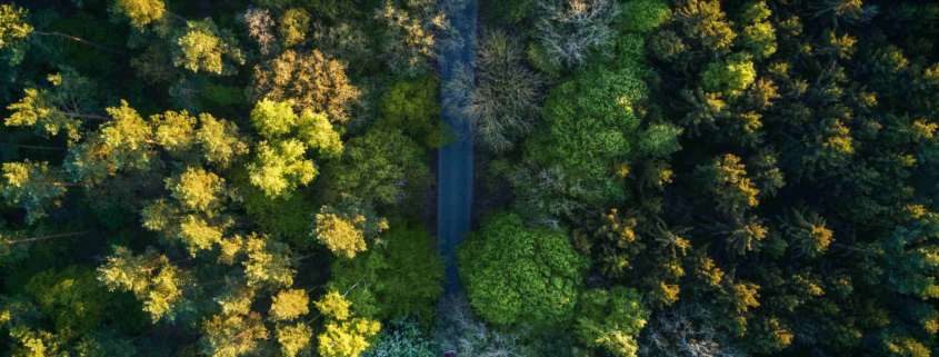 Quem precisa de licença ambiental?